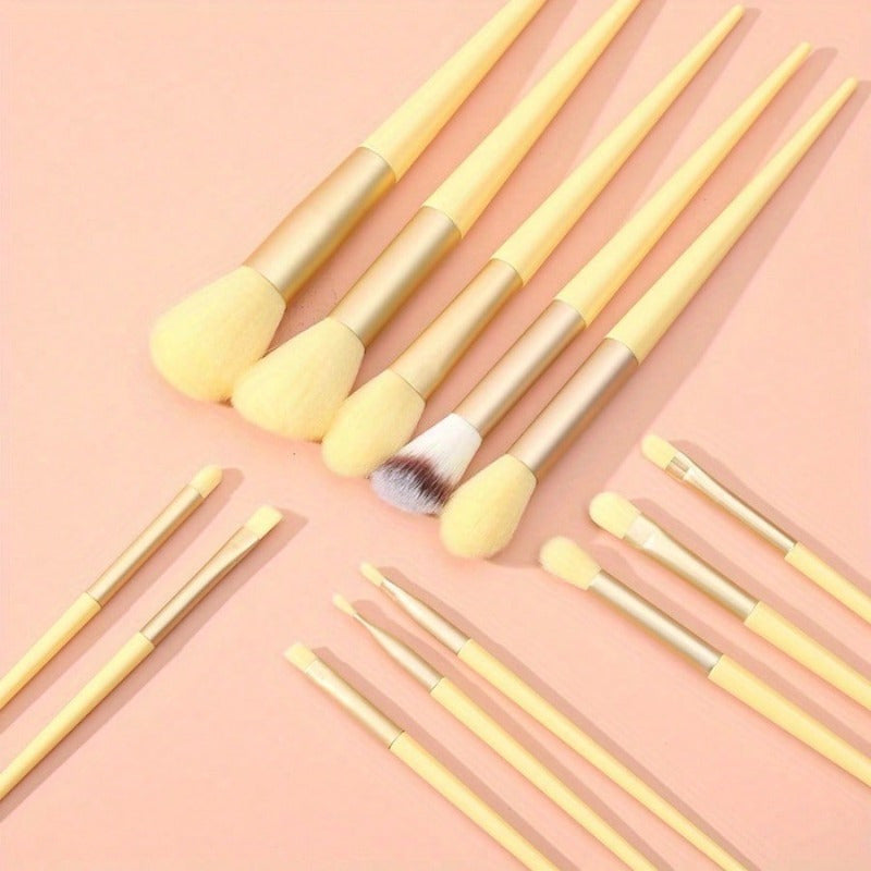 13-Piece Professional Makeup Brush Set with Sponge