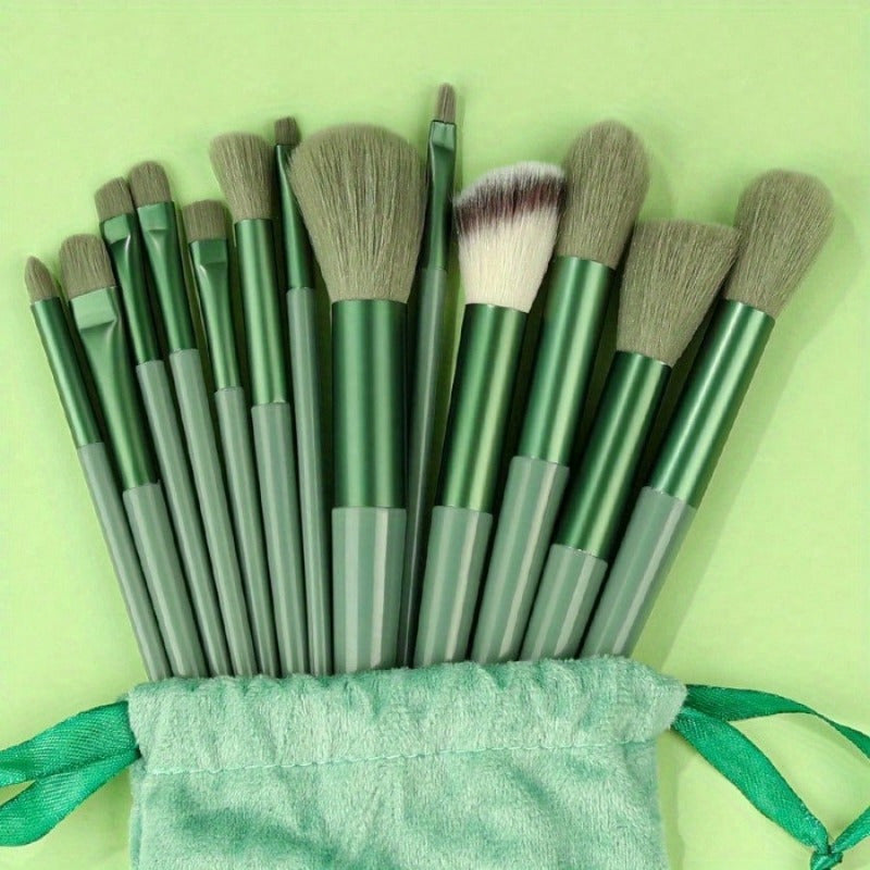 13-Piece Professional Makeup Brush Set with Sponge