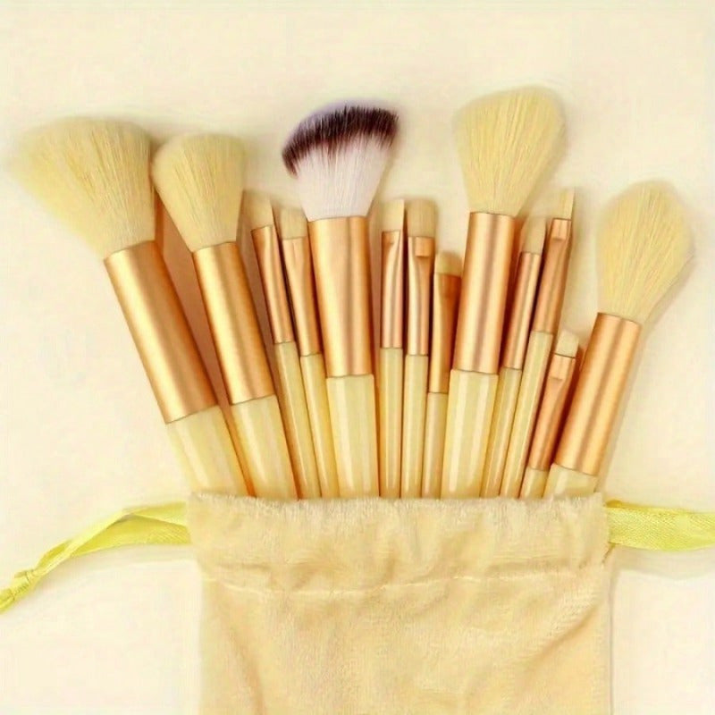 13-Piece Professional Makeup Brush Set with Sponge